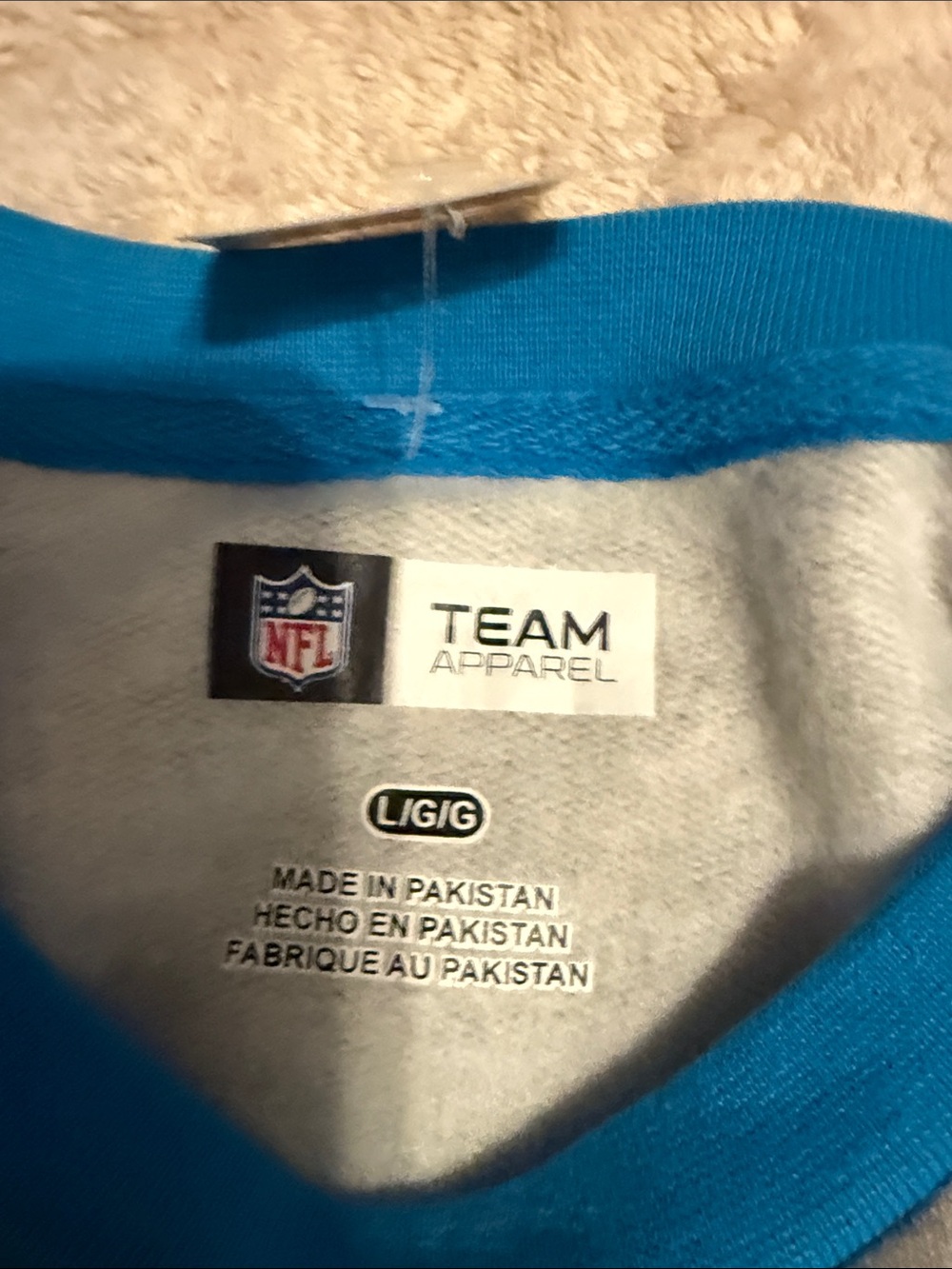 Panthers Raglan Crewneck Sweatshirt - Gray with Blue Sleeves - Picture 2 of 5